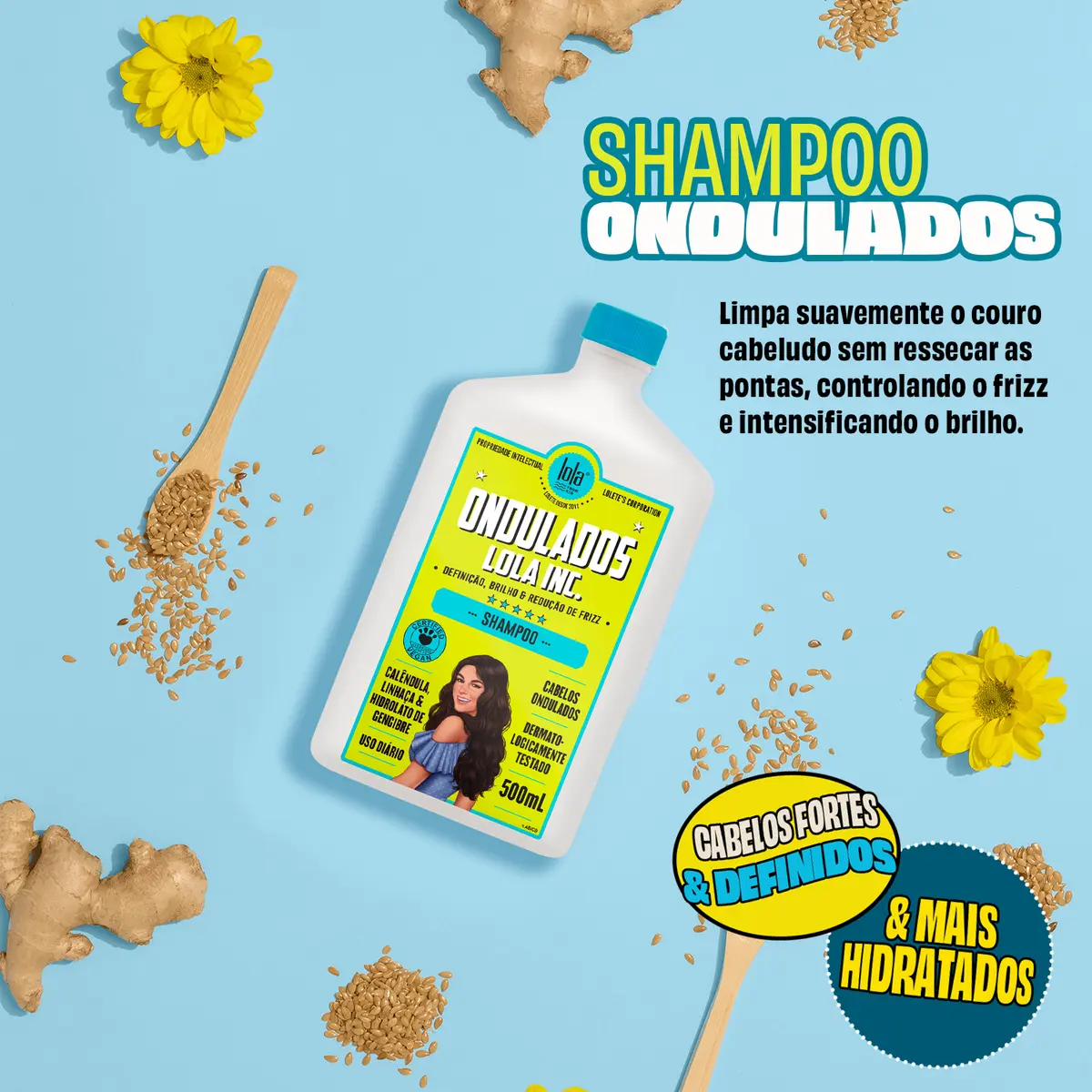 ONDULADOS LOLA INC. - SHAMPOO 500ML  2